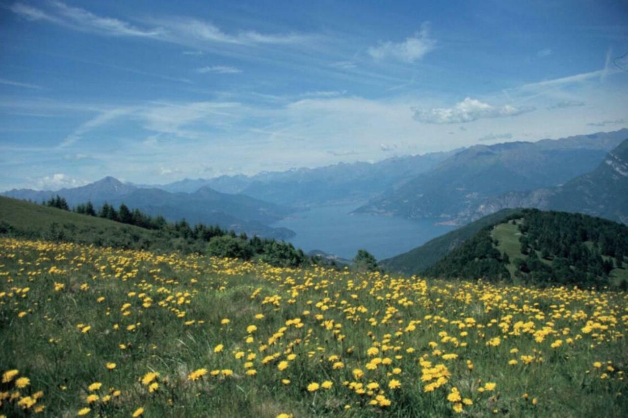 Appartamento Ghisallo Magreglio エクステリア 写真